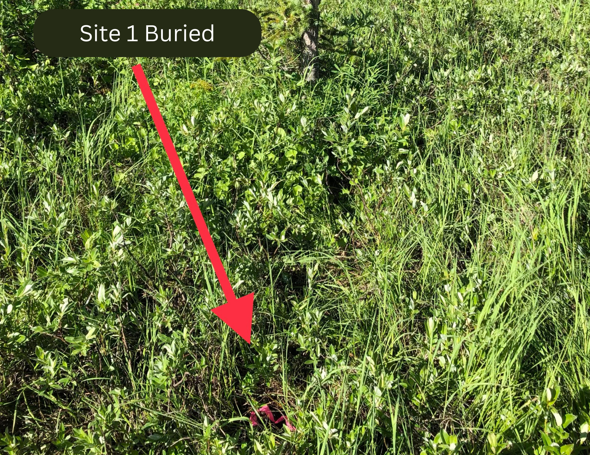 1_Buried