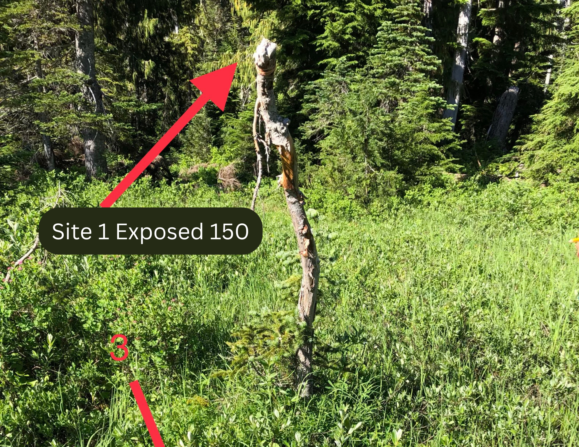 1_Exposed_150