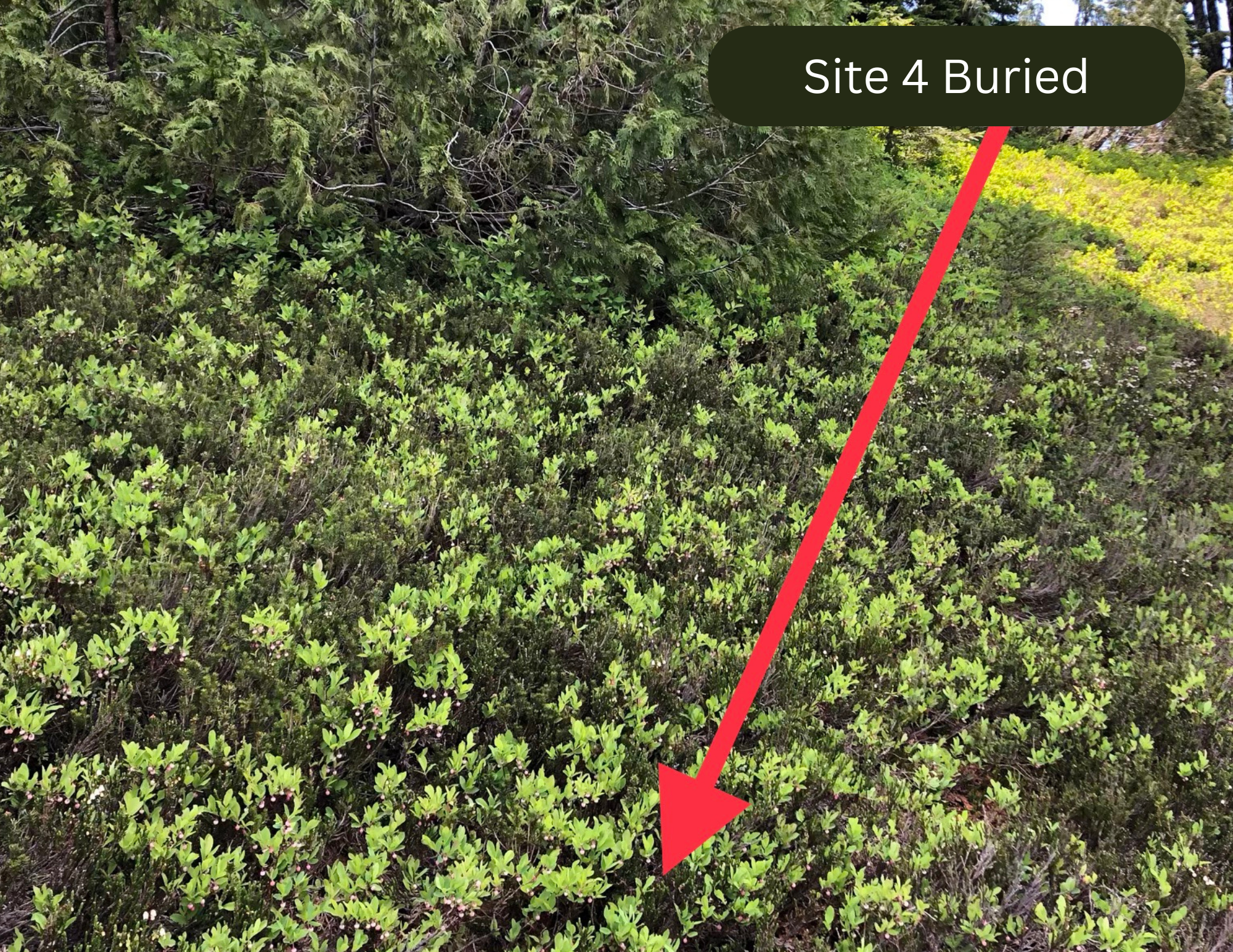 4_Buried