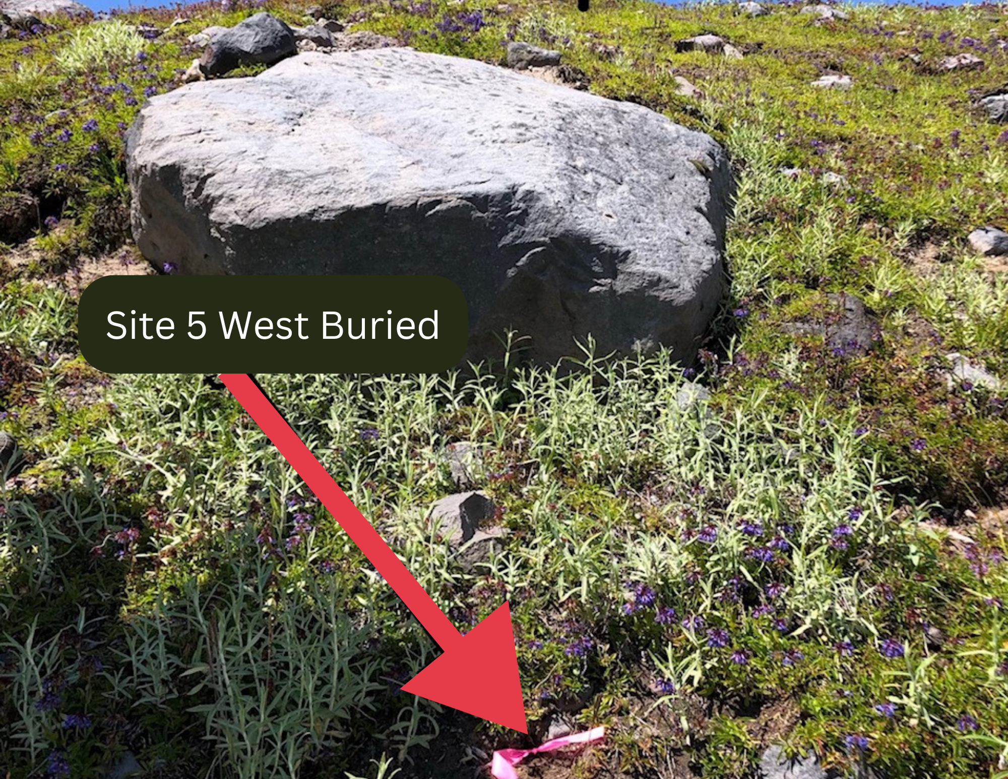 5_West_Buried